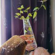 ロゼ その姿に私はなれるものなのか🌹 錦糸町人妻セレブリティ（ユメオト）