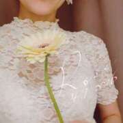 ヒメ日記 2026/04/07 20:17 投稿 ロゼ 錦糸町人妻セレブリティ（ユメオト）