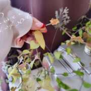 ヒメ日記 2026/04/24 14:33 投稿 ロゼ 錦糸町人妻セレブリティ（ユメオト）