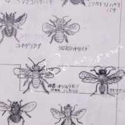 ヒメ日記 2026/07/18 06:08 投稿 ロゼ 錦糸町人妻セレブリティ（ユメオト）