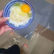 ヒメ日記 2026/10/01 12:10 投稿 ロゼ 錦糸町人妻セレブリティ（ユメオト）