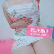 ヒメ日記 2025/05/23 10:03 投稿 ここ セクシーキャット 小田原店