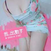 ヒメ日記 2025/05/26 13:02 投稿 ここ セクシーキャット 小田原店