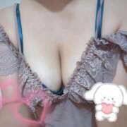 ヒメ日記 2025/08/18 10:01 投稿 ここ セクシーキャット 小田原店