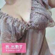 ヒメ日記 2025/09/01 10:02 投稿 ここ セクシーキャット 小田原店