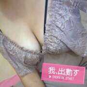 ヒメ日記 2025/09/08 10:02 投稿 ここ セクシーキャット 小田原店