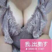 ヒメ日記 2025/09/17 10:02 投稿 ここ セクシーキャット 小田原店