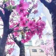 ヒメ日記 2025/03/28 09:27 投稿 さとみ【無邪気に惹きつける♡】 LIPS(リップス)