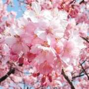 ヒメ日記 2025/04/30 21:25 投稿 さとみ【無邪気に惹きつける♡】 LIPS(リップス)