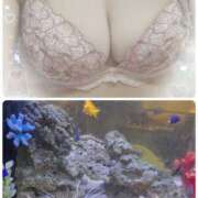 ヒメ日記 2025/03/17 21:07 投稿 みえ セレブクエスト‐Kasukabe‐