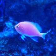 ヒメ日記 2025/05/22 10:56 投稿 みえ セレブクエスト-koshigaya-