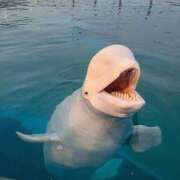 ヒメ日記 2025/06/30 22:15 投稿 みえ セレブクエスト-koshigaya-