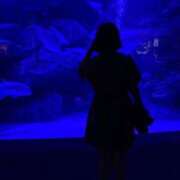 ヒメ日記 2025/03/28 18:48 投稿 さな ジュエルズ(池袋)