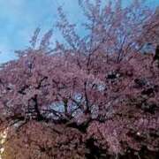 ヒメ日記 2025/03/20 22:31 投稿 すず 熟女デリヘル倶楽部