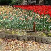 ヒメ日記 2025/04/16 20:44 投稿 すず 熟女デリヘル倶楽部