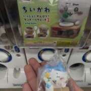 ヒメ日記 2025/04/16 18:15 投稿 白井 そら CUORE(クオレ)