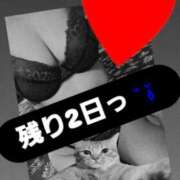 ヒメ日記 2025/04/08 14:18 投稿 じゅり 厚木人妻城