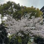 ヒメ日記 2026/03/13 21:34 投稿 河西－かわにし MSC 妄想紳士倶楽部 鶯谷店