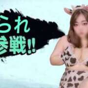 ヒメ日記 2025/05/04 15:33 投稿 あられ☆そのパイズリ反則級☆ ぽちゃぶらんか甲府店(カサブランカグループ)