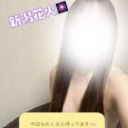 ヒメ日記 2025/08/10 09:00 投稿 けい スチュワーデス