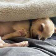 ヒメ日記 2025/09/27 11:18 投稿 けい スチュワーデス