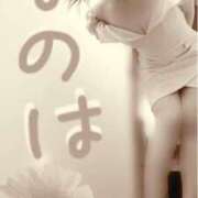 ヒメ日記 2025/04/01 08:07 投稿 なのは ベイキュート