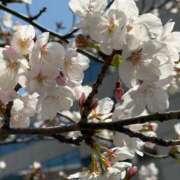 ヒメ日記 2025/04/06 19:47 投稿 なのは ベイキュート