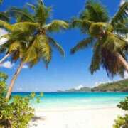 ヒメ日記 2025/04/14 06:07 投稿 なのは ベイキュート