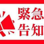 ヒメ日記 2025/04/27 19:07 投稿 なのは ベイキュート