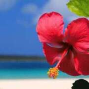 ヒメ日記 2025/06/08 06:07 投稿 なのは ベイキュート