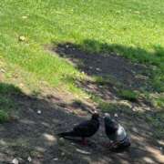 ヒメ日記 2025/06/18 19:07 投稿 なのは ベイキュート