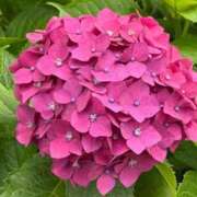 ヒメ日記 2025/06/24 22:57 投稿 なのは ベイキュート