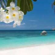 ヒメ日記 2025/07/28 06:17 投稿 なのは ベイキュート