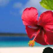 ヒメ日記 2025/09/29 06:07 投稿 なのは ベイキュート