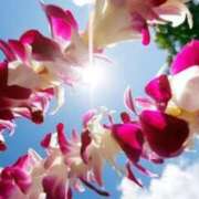 ヒメ日記 2025/10/09 06:17 投稿 なのは ベイキュート