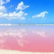 ヒメ日記 2025/10/31 11:27 投稿 なのは ベイキュート