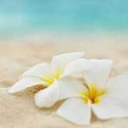 ヒメ日記 2025/11/15 06:07 投稿 なのは ベイキュート