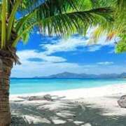 ヒメ日記 2025/12/01 06:17 投稿 なのは ベイキュート