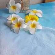 なのは 言葉の贈物 ベイキュート