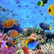 ヒメ日記 2025/12/09 06:17 投稿 なのは ベイキュート