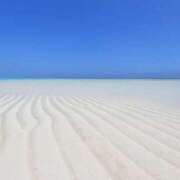 ヒメ日記 2026/02/26 06:17 投稿 なのは ベイキュート