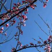 ヒメ日記 2026/03/18 11:47 投稿 なのは ベイキュート