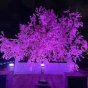 ヒメ日記 2026/03/19 21:37 投稿 なのは ベイキュート