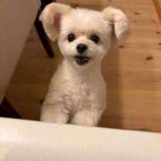 ヒメ日記 2025/09/26 16:04 投稿 武下まおみ 制服向上委員会