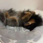 ヒメ日記 2025/11/29 17:18 投稿 武下まおみ 制服向上委員会