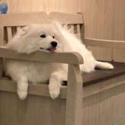 ヒメ日記 2025/12/26 00:35 投稿 武下まおみ 制服向上委員会