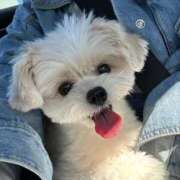 ヒメ日記 2025/12/08 19:18 投稿 武下まおみ 派遣社淫