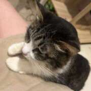 ヒメ日記 2025/06/16 18:08 投稿 りんか club Ego