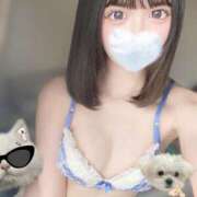 ヒメ日記 2025/04/19 15:30 投稿 ねる まだ舐めたくて学園渋谷校〜舐めたくてグループ〜