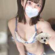 ヒメ日記 2025/04/26 14:20 投稿 ねる まだ舐めたくて学園渋谷校〜舐めたくてグループ〜